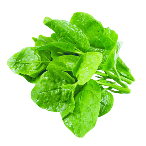 木耳菜 豆腐菜 500g