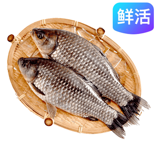 鲜活草鱼 4斤起售