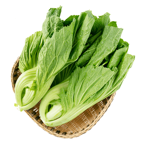 新鲜小糯菜 荠菜500g