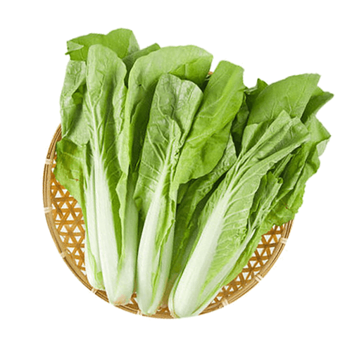 新鲜小白菜 500g
