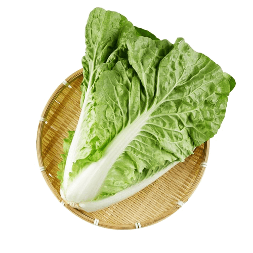 新鲜水涨趴 小白菜 500g