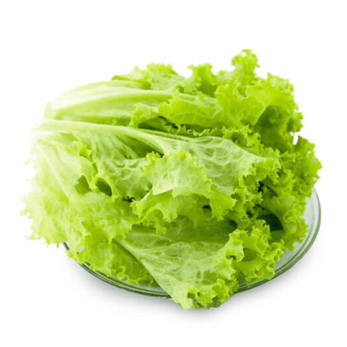 新鲜生菜 500g
