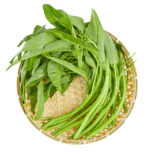 新鲜空心菜 500g