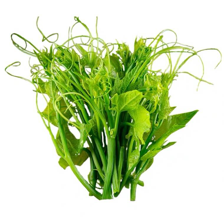 新鲜洋瓜尖 500g